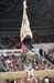 06vsArk3D_0262