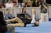 06NCAAR1D_0157