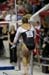 06NCAAR4D_0362