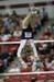 06NCAAR4D_0431