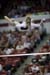 06NCAAR4D_0434