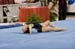 06NCAAR0D_0061