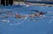 06NCAAR9D_0783