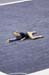 06NCAA1S1D_0082