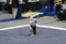 06NCAA1S3D_0161