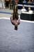 06NCAAS11K_1055