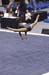 06NCAA2S2D_0194