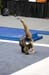 06NCAA2S2K_1205