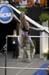 06NCAAF2D_0113