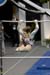 06NCAAF2D_0148