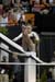 06NCAAF2D_0176