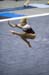 06NCAAF5D_0344
