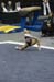 06NCAAF5D_0379