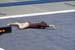06NCAAF2D_0210