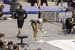 06NCAA2F5K_1314
